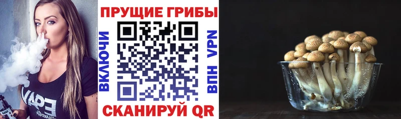 даркнет официальный сайт  Курганинск  Галлюциногенные грибы Cubensis 